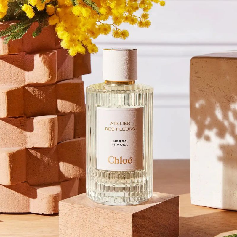 Chloe Atelier Des Fleurs Herba Mimosa